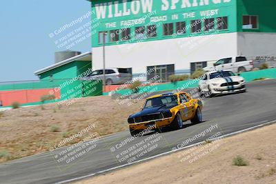 media/May-07-2022-Cobra Owners Club of America (Sat) [[e681d2ddb7]]/Blue/Session 1 (Turn 4)/